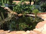 Stone Patio and Koi Fish Pond - Maryland Heights, MO