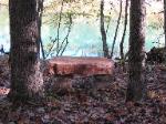 Bench overlooking Current River, Van Buren, MO