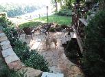 Retaining Wall - Florissant, MO